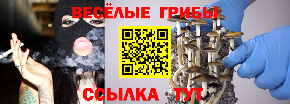 Галлюциногенные грибы мицелий Брянск
