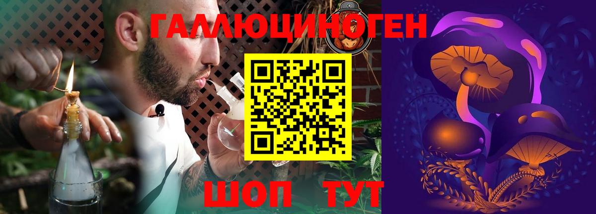Псилоцибиновые грибы Magic Shrooms  Вход с VPN  Брянск  Псилоцибиновые грибы прущие грибы 